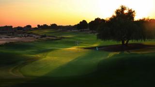 Arabian Ranches Golf Club 809